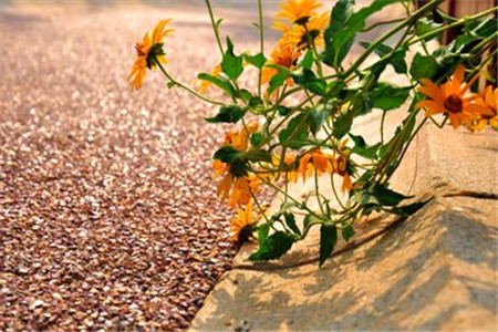 為什么黑龍江自考通過率那么低？