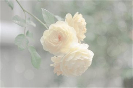 黑龍江自考大專文憑有用嗎？