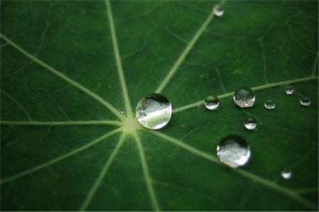 黑龍江自考學(xué)歷好找工作嗎？