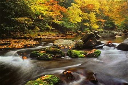 黑龍江自考研究生和統(tǒng)招研究生一樣嗎？