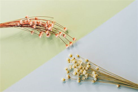 黑龍江自考學歷國家承認嗎？