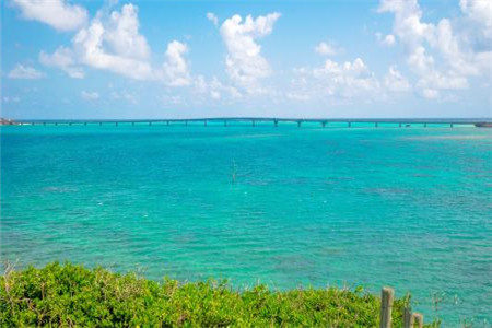 黑龍江自考成績可以保留幾年？