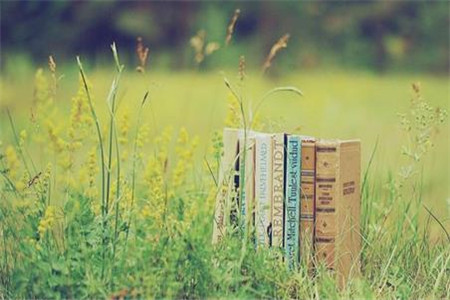 黑龍江自考《管理經(jīng)濟(jì)學(xué)》試題一