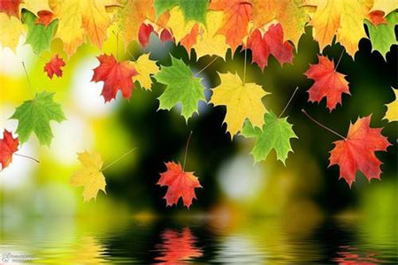 黑龍江自考本科找工作難嗎？