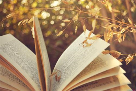 2020年黑龍江自考計(jì)算機(jī)應(yīng)用基礎(chǔ)試題（4） 