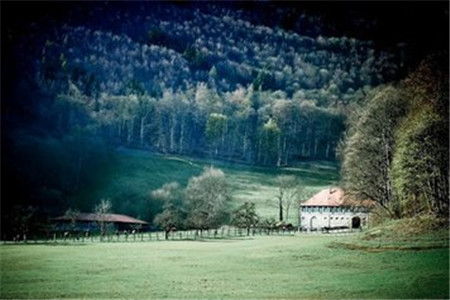 黑龍江成人自考考些什么？