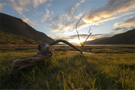 2020年黑龍江自考畢業(yè)申請時間？