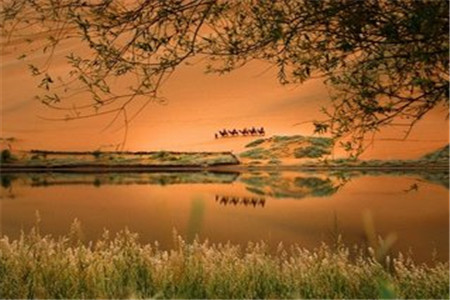 黑龍江自考最容易過的專業(yè)？