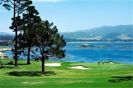 黑龍江實(shí)用性最好的自考專業(yè)？