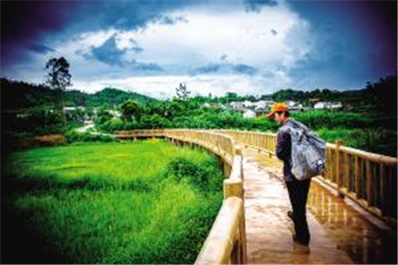 黑龍江自考《基礎(chǔ)會計學(xué)》模擬試題一